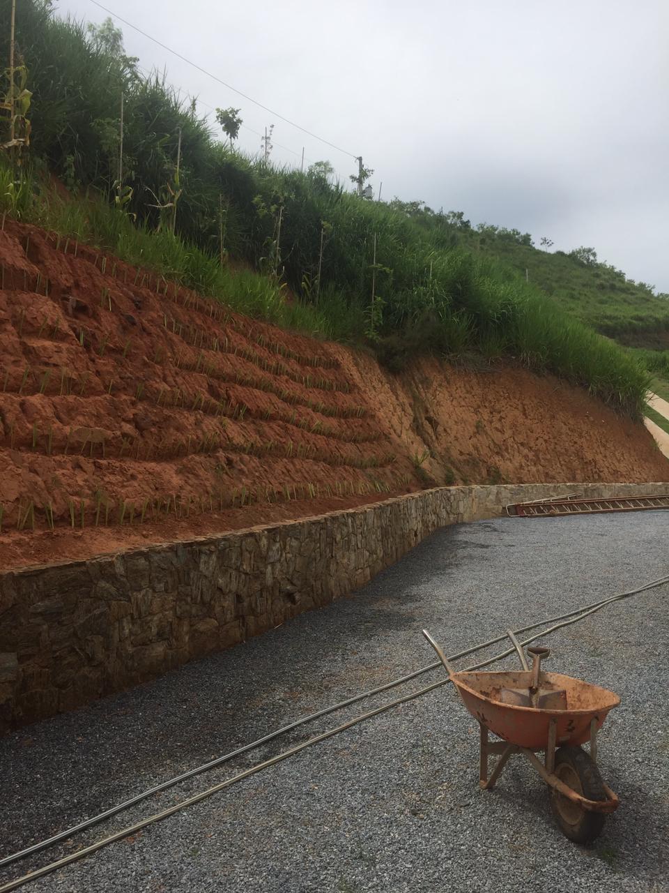 Área com contenção de talude e desenvolvimento de vetiver